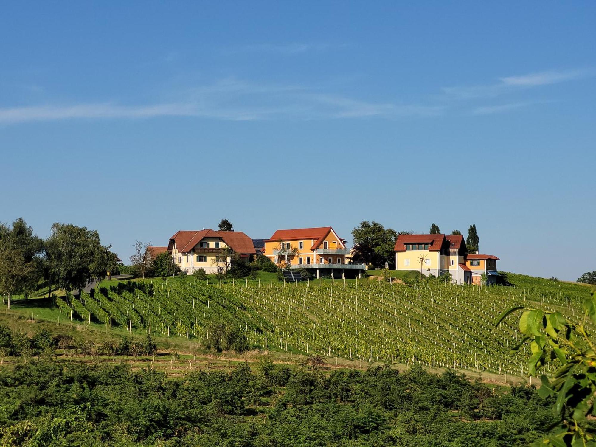 Weinhof Reichmann Bed & Breakfast Sankt Peter am Ottersbach Exterior photo